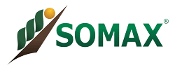logo_somax verde